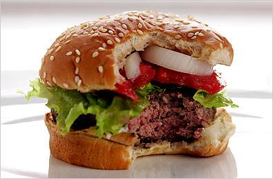 hamburger395.1